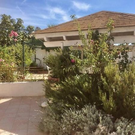 Superbe Appartement En Residence Avec Patio Villeneuve-les-Maguelonne Εξωτερικό φωτογραφία